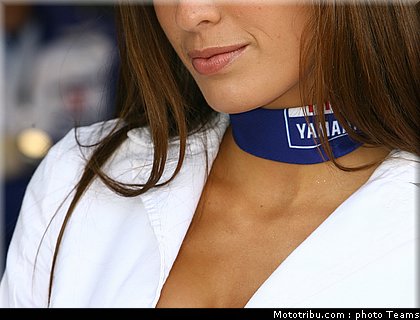 pitbabes_motogp_2008_0505.jpg