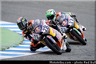 ray_005_redbull_motogp_rookies_cup_2013_test_fevrier.jpg
