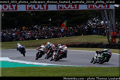 moto3_003_photos_wallpapers_thomas_liautard_australie_2018_phillip_island.jpg