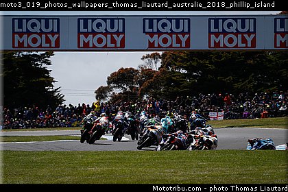 moto3_019_photos_wallpapers_thomas_liautard_australie_2018_phillip_island.jpg