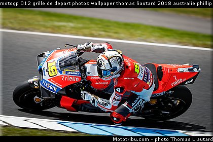 motogp 012 grille de depart photos wallpaper thomas liautard 2018 australie phillip island.jpg
