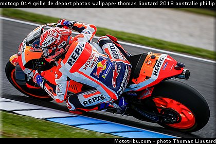 motogp 014 grille de depart photos wallpaper thomas liautard 2018 australie phillip island.jpg