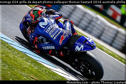 motogp 024 grille de depart photos wallpaper thomas liautard 2018 australie phillip island.jpg