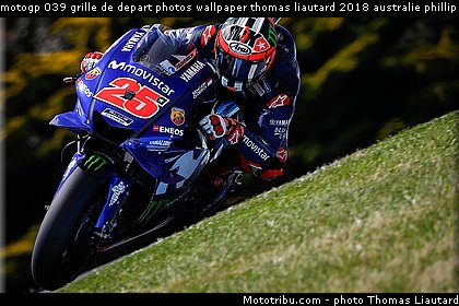 motogp 039 grille de depart photos wallpaper thomas liautard 2018 australie phillip island.jpg