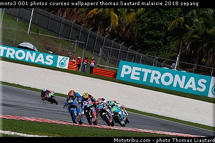 moto3 001 photos courses wallpapers thomas liautard malaisie 2018 sepang.jpg