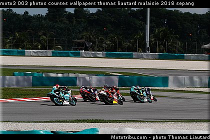 moto3 003 photos courses wallpapers thomas liautard malaisie 2018 sepang.jpg