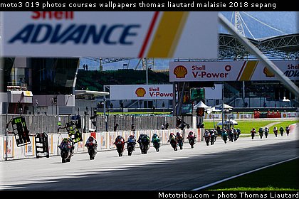 moto3 019 photos courses wallpapers thomas liautard malaisie 2018 sepang.jpg