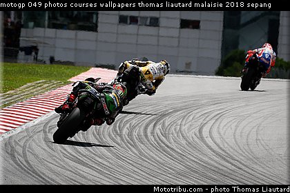 motogp 049 photos courses wallpapers thomas liautard malaisie 2018 sepang.jpg