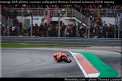 motogp 065 photos courses wallpapers thomas liautard malaisie 2018 sepang.jpg