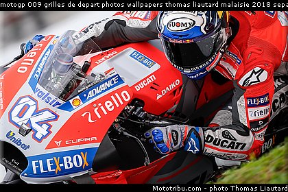 motogp 009 grilles de depart photos wallpapers thomas liautard malaisie 2018 sepang.jpg