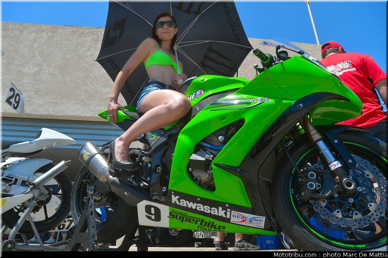 sbk_pitbabe_006_fsbk_2012_ledenon_1