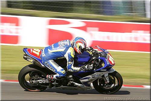 pirro002.jpg