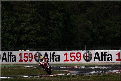 0144-003bayliss1-paysbas.jpg