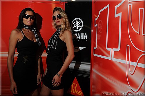 pitbabes_3.jpg