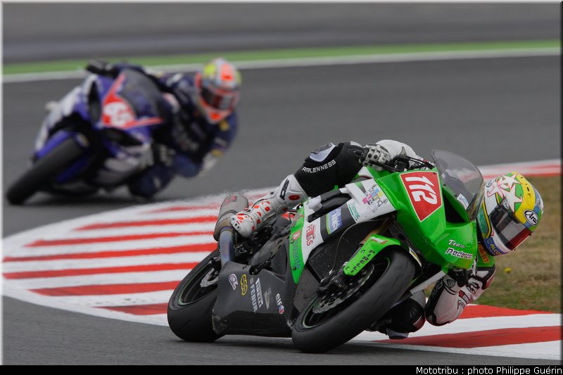 stk1000_fores_2