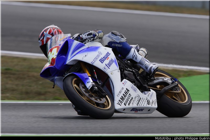 stk1000_massei