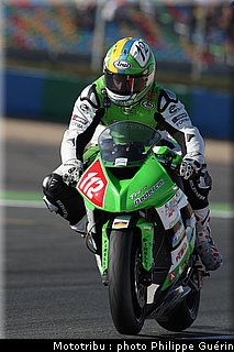 stk1000_fores_1.jpg