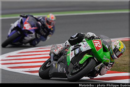 stk1000_fores_2.jpg
