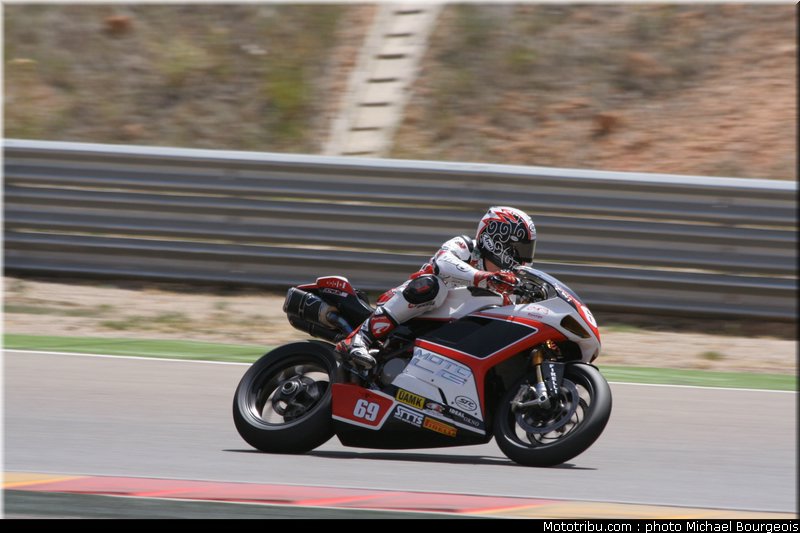 1000stk_jezek_001_espagne_aragon_2012