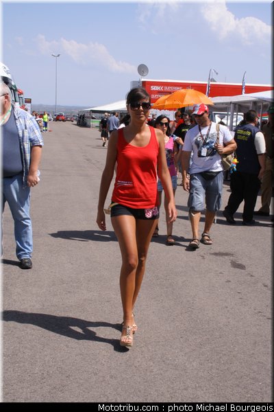 sbk_pitbabe_001