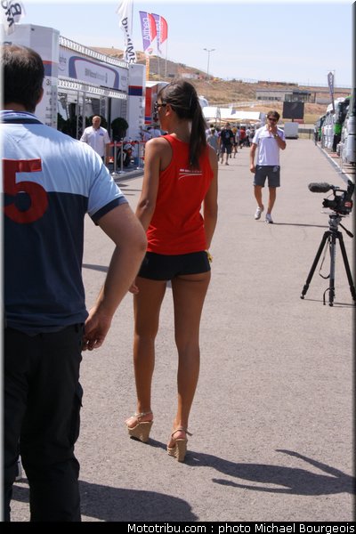 sbk_pitbabe_002