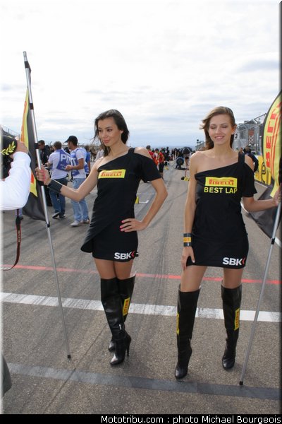 sbk_pitbabe_012