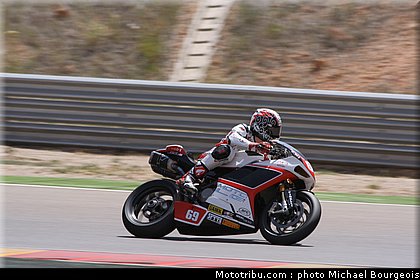 1000stk_jezek_001_espagne_aragon_2012.jpg