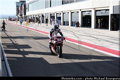 1000stk_jezek_002_espagne_aragon_2012.jpg