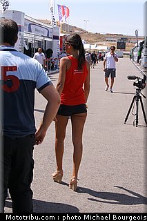sbk_pitbabe_002.jpg