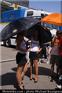 sbk_pitbabe_003.jpg