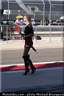 sbk_pitbabe_008.jpg