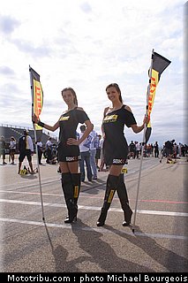sbk_pitbabe_011.jpg