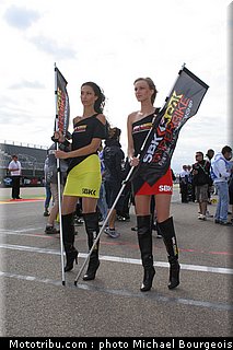sbk_pitbabe_013.jpg