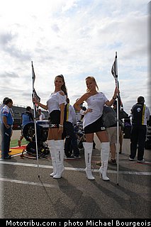 sbk_pitbabe_014.jpg
