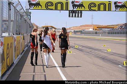 sbk_pitbabe_032.jpg