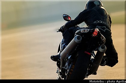 aprilia_rsv1000r_factory_2008_003.jpg
