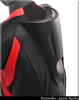 aprilia_rsv4_2009_0145.jpg
