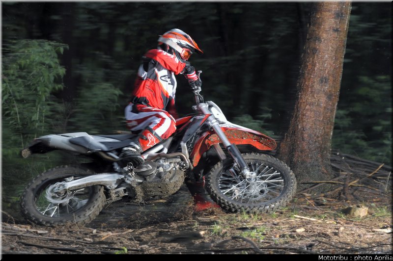 aprilia_rxv_450_550_2009_004