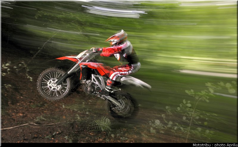 aprilia_rxv_450_550_2009_008