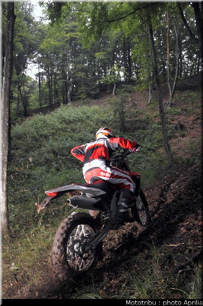 aprilia_rxv_450_550_2009_018