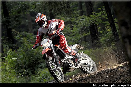 aprilia_rxv_450_550_2009_001.jpg