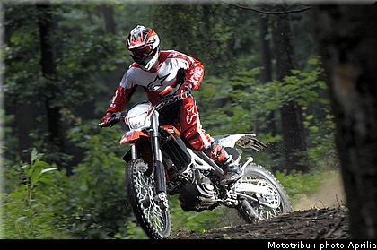 aprilia_rxv_450_550_2009_002.jpg