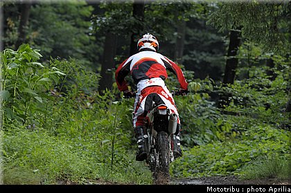 aprilia_rxv_450_550_2009_003.jpg