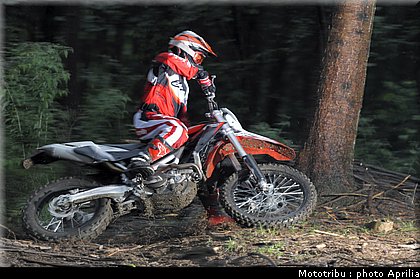 aprilia_rxv_450_550_2009_004.jpg