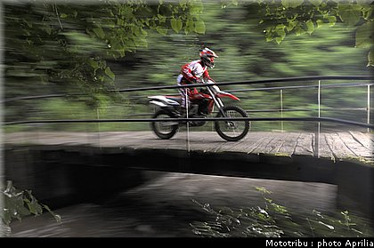 aprilia_rxv_450_550_2009_009.jpg