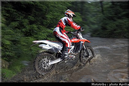aprilia_rxv_450_550_2009_010.jpg