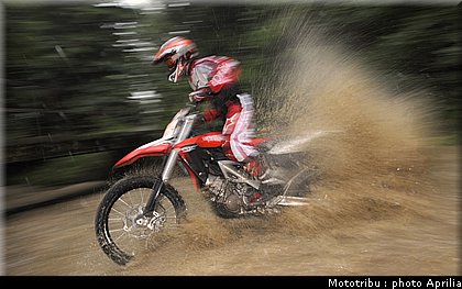 aprilia_rxv_450_550_2009_013.jpg