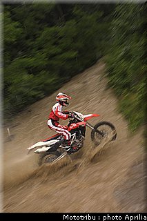 aprilia_rxv_450_550_2009_014.jpg