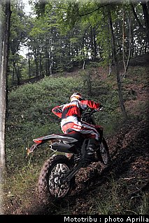 aprilia_rxv_450_550_2009_018.jpg