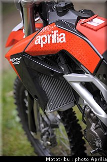 aprilia_rxv_450_550_2009_044.jpg